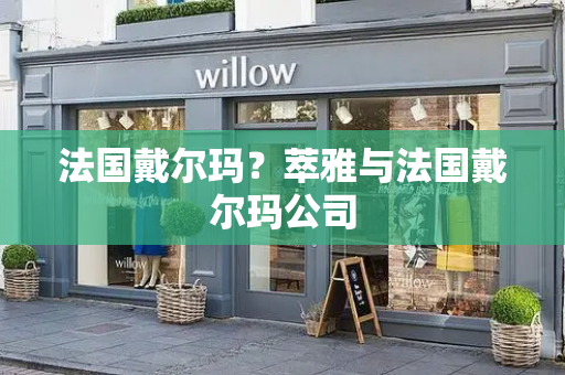法国戴尔玛？萃雅与法国戴尔玛公司