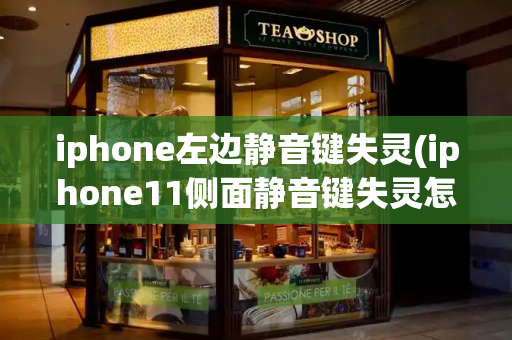 iphone左边静音键失灵(iphone11侧面静音键失灵怎么解决)