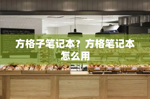 方格子笔记本？方格笔记本怎么用-第1张图片-星选测评