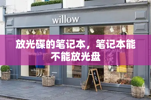 放光碟的笔记本，笔记本能不能放光盘-第1张图片-星选测评