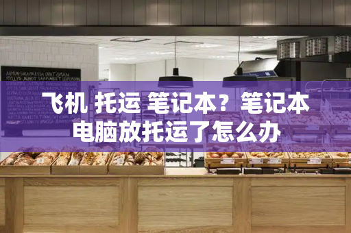 飞机 托运 笔记本？笔记本电脑放托运了怎么办-第1张图片-星选测评