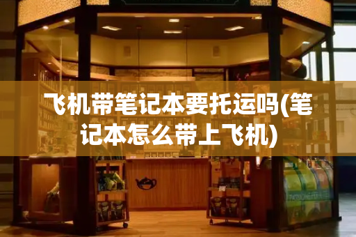 飞机带笔记本要托运吗(笔记本怎么带上飞机)-第1张图片-星选测评