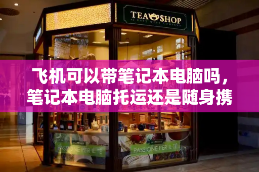 飞机可以带笔记本电脑吗，笔记本电脑托运还是随身携带