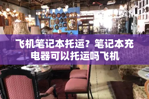 飞机笔记本托运？笔记本充电器可以托运吗飞机-第1张图片-星选测评