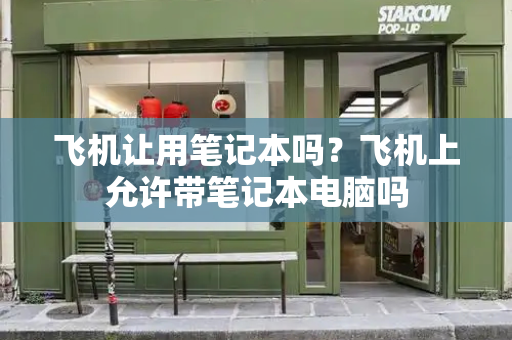 飞机让用笔记本吗？飞机上允许带笔记本电脑吗-第1张图片-星选测评