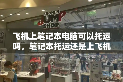 飞机上笔记本电脑可以托运吗，笔记本托运还是上飞机-第1张图片-星选测评