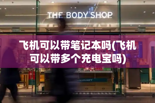 飞机可以带笔记本吗(飞机可以带多个充电宝吗)