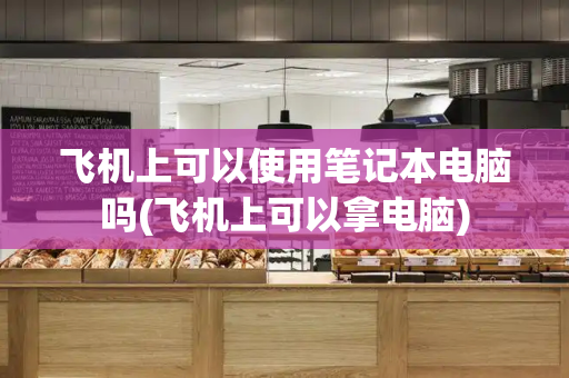 飞机上可以使用笔记本电脑吗(飞机上可以拿电脑)-第1张图片-星选测评