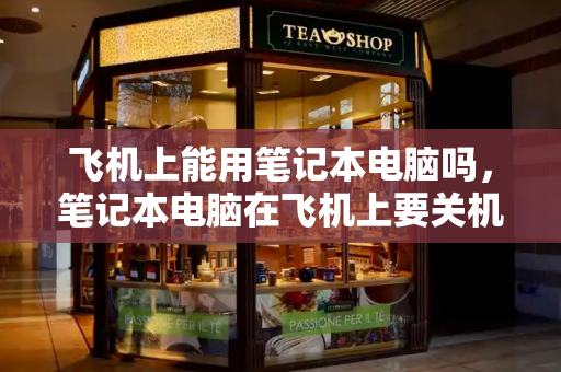飞机上能用笔记本电脑吗，笔记本电脑在飞机上要关机吗-第1张图片-星选测评