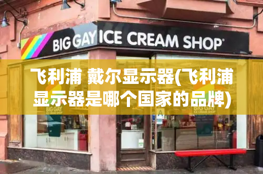 飞利浦 戴尔显示器(飞利浦显示器是哪个国家的品牌)