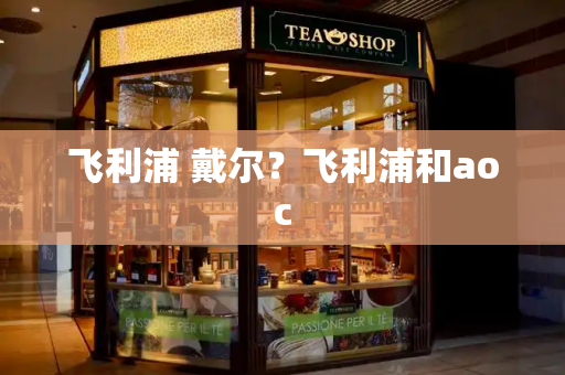 飞利浦 戴尔？飞利浦和aoc