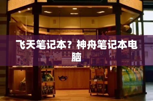 飞天笔记本？神舟笔记本电脑