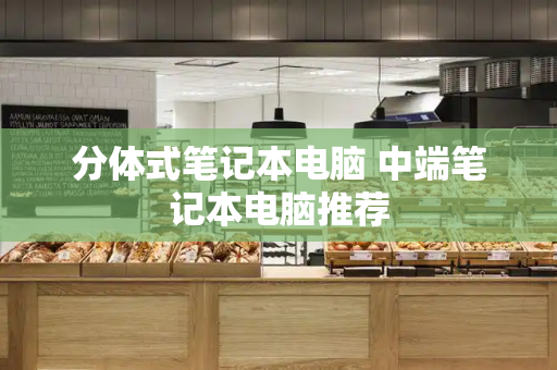 分体式笔记本电脑 中端笔记本电脑推荐