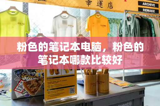 粉色的笔记本电脑，粉色的笔记本哪款比较好
