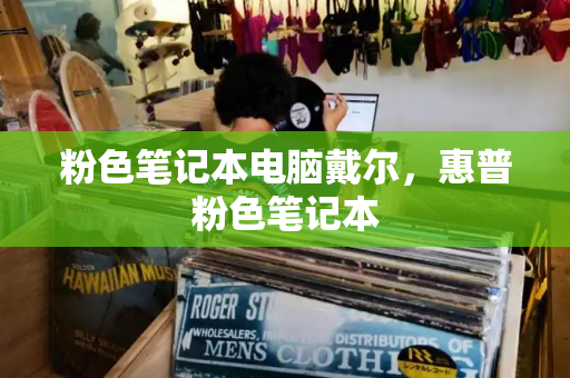 粉色笔记本电脑戴尔，惠普粉色笔记本-第1张图片-星选测评