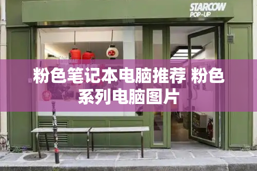 粉色笔记本电脑推荐 粉色系列电脑图片