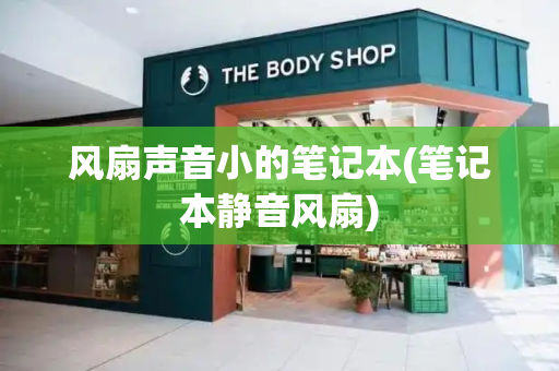 风扇声音小的笔记本(笔记本静音风扇)