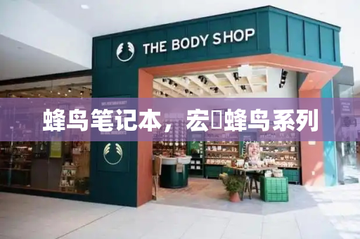 蜂鸟笔记本，宏碁蜂鸟系列-第1张图片-星选测评