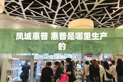 凤城惠普 惠普是哪里生产的-第1张图片-星选测评
