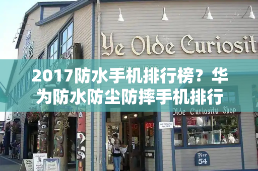 2017防水手机排行榜？华为防水防尘防摔手机排行-第1张图片-星选测评