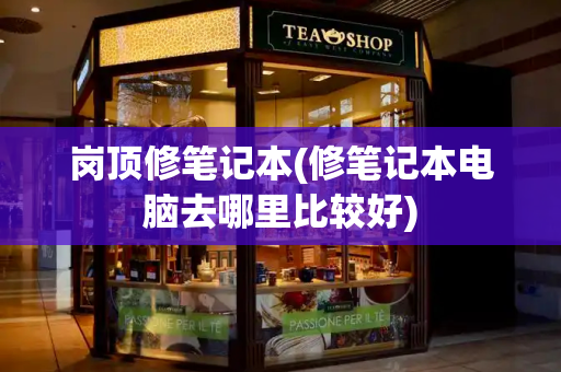 岗顶修笔记本(修笔记本电脑去哪里比较好)-第1张图片-星选测评