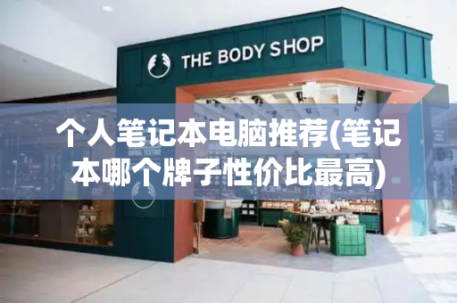 个人笔记本电脑推荐(笔记本哪个牌子性价比最高)