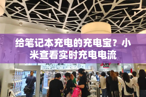 给笔记本充电的充电宝？小米查看实时充电电流-第1张图片-星选测评