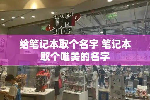给笔记本取个名字 笔记本取个唯美的名字