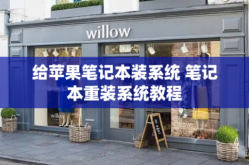 给苹果笔记本装系统 笔记本重装系统教程-第1张图片-星选测评