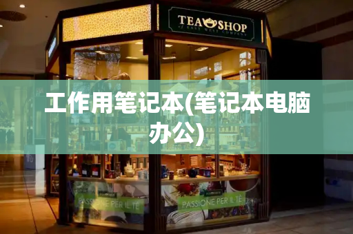 工作用笔记本(笔记本电脑办公)-第1张图片-星选测评