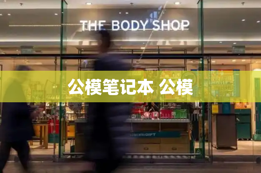 公模笔记本 公模-第1张图片-星选测评