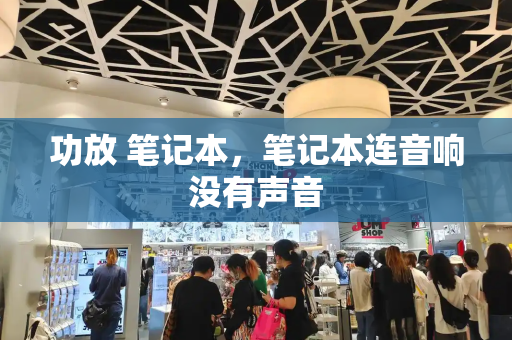 功放 笔记本，笔记本连音响没有声音-第1张图片-星选测评