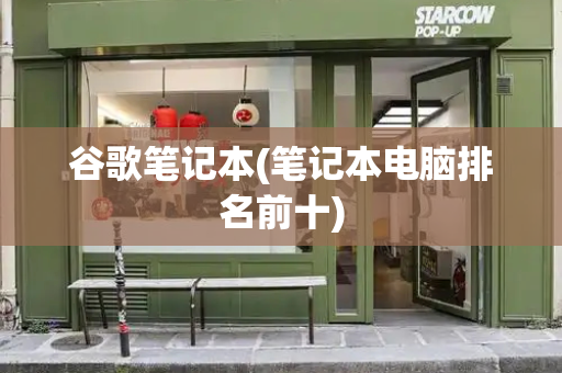 谷歌笔记本(笔记本电脑排名前十)-第1张图片-星选测评