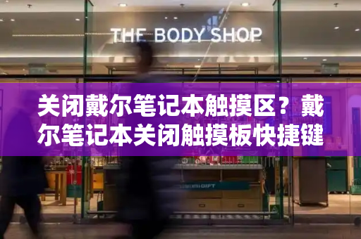 关闭戴尔笔记本触摸区？戴尔笔记本关闭触摸板快捷键-第1张图片-星选测评