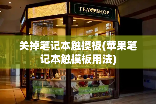 关掉笔记本触摸板(苹果笔记本触摸板用法)