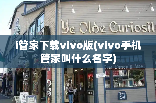 i管家下载vivo版(vivo手机管家叫什么名字)