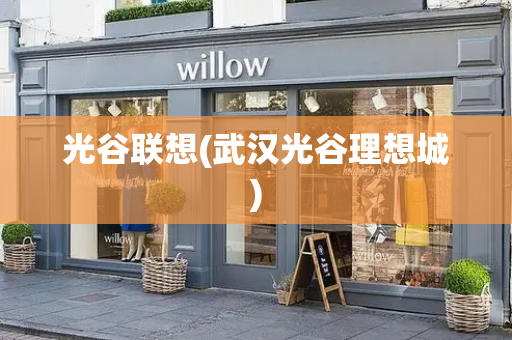 光谷联想(武汉光谷理想城)