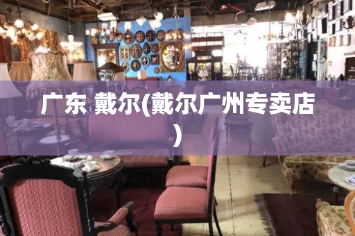 广东 戴尔(戴尔广州专卖店)-第1张图片-星选测评