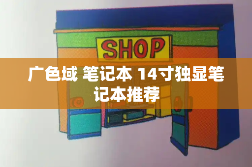 广色域 笔记本 14寸独显笔记本推荐