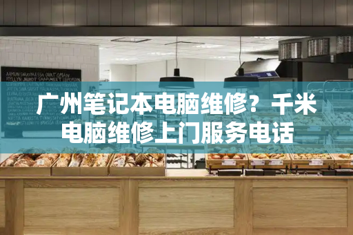 广州笔记本电脑维修？千米电脑维修上门服务电话