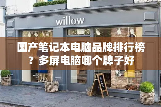 国产笔记本电脑品牌排行榜？多屏电脑哪个牌子好