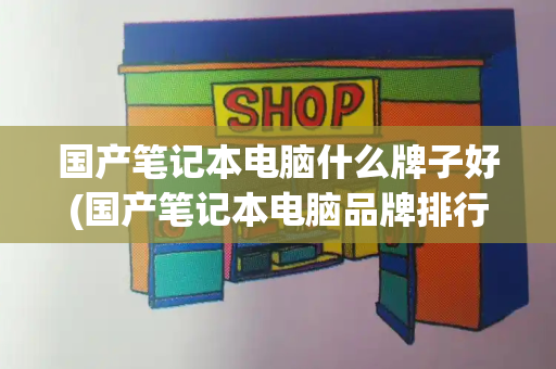 国产笔记本电脑什么牌子好(国产笔记本电脑品牌排行榜前十名)-第1张图片-星选测评
