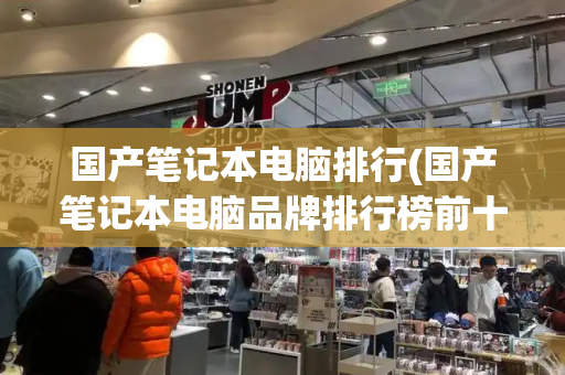 国产笔记本电脑排行(国产笔记本电脑品牌排行榜前十名)
