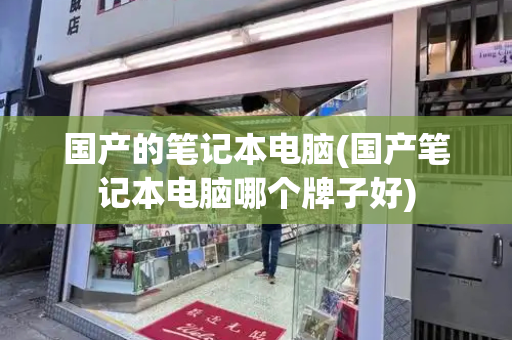 国产的笔记本电脑(国产笔记本电脑哪个牌子好)