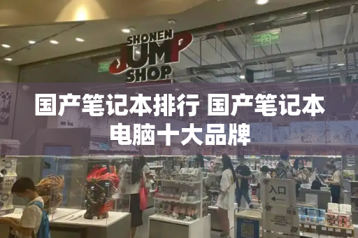 国产笔记本排行 国产笔记本电脑十大品牌