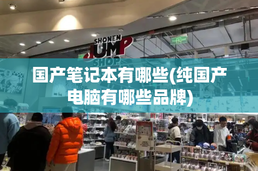 国产笔记本有哪些(纯国产电脑有哪些品牌)-第1张图片-星选测评