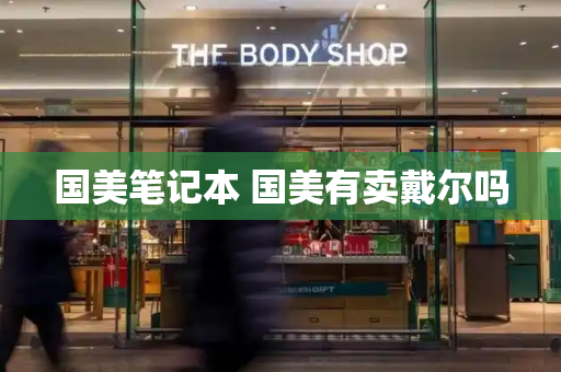 国美笔记本 国美有卖戴尔吗-第1张图片-星选测评