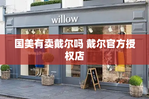 国美有卖戴尔吗 戴尔官方授权店-第1张图片-星选测评