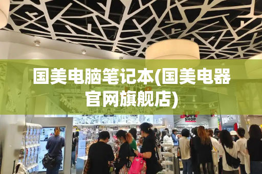 国美电脑笔记本(国美电器官网旗舰店)