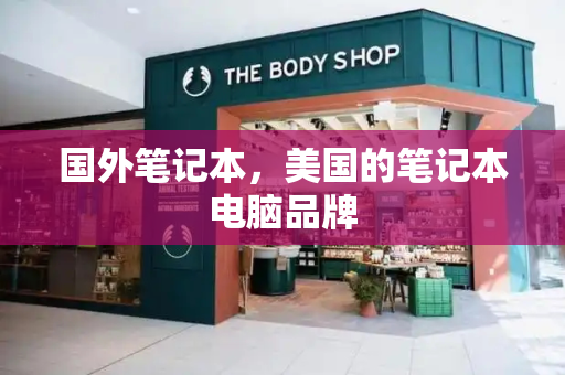 国外笔记本，美国的笔记本电脑品牌-第1张图片-星选测评